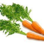морковь посевная