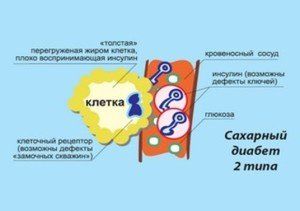 диабет лечение травами